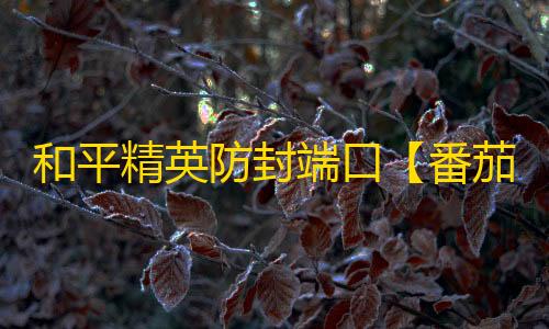 和平精英防封端口【番茄】和平端口-