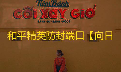 和平精英防封端口【向日葵端口】和平端口-