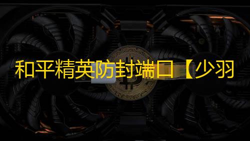 和平精英防封端口【少羽内部私端】和平端口-