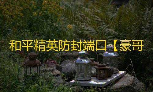 和平精英防封端口【豪哥】和平端囗-