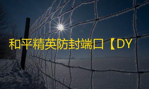 和平精英防封端口【DY端囗】和平端口-